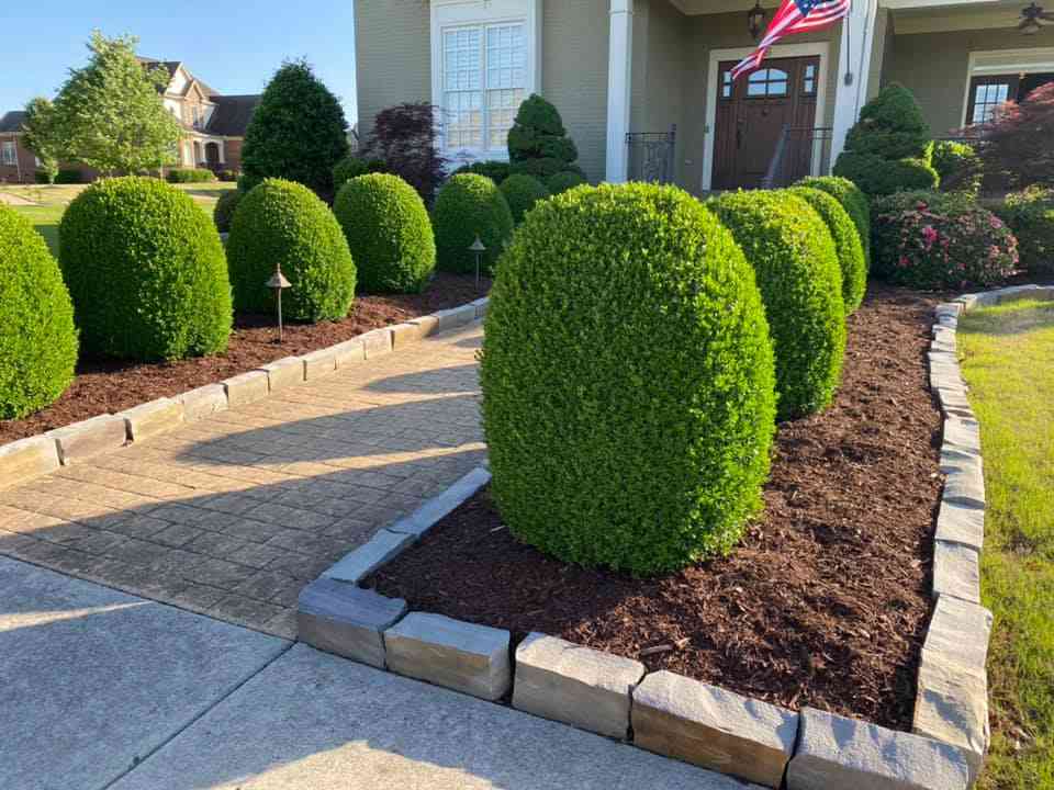 Mulch Installation